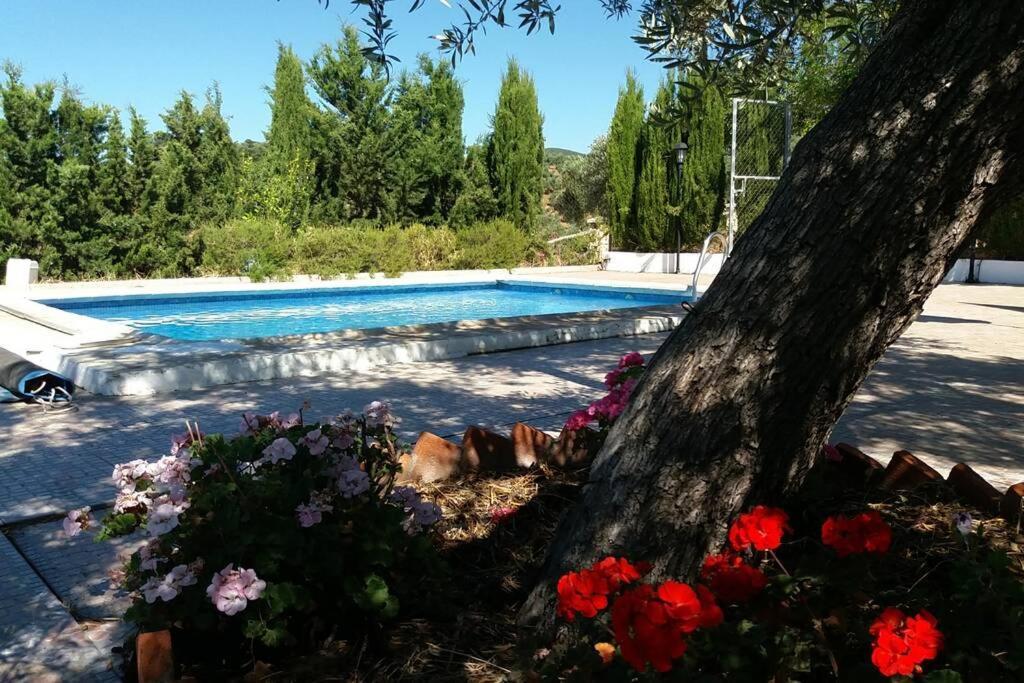 Cortijo "Era Grande 2" Villa กอร์โดบา ภายนอก รูปภาพ
