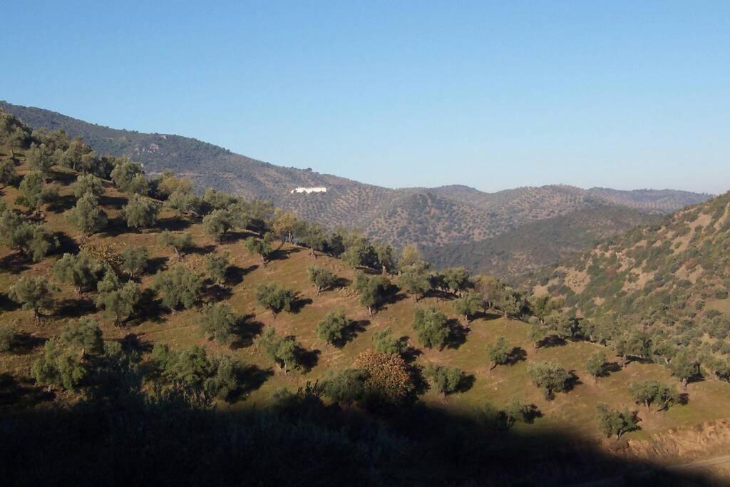 Cortijo "Era Grande 2" Villa กอร์โดบา ภายนอก รูปภาพ