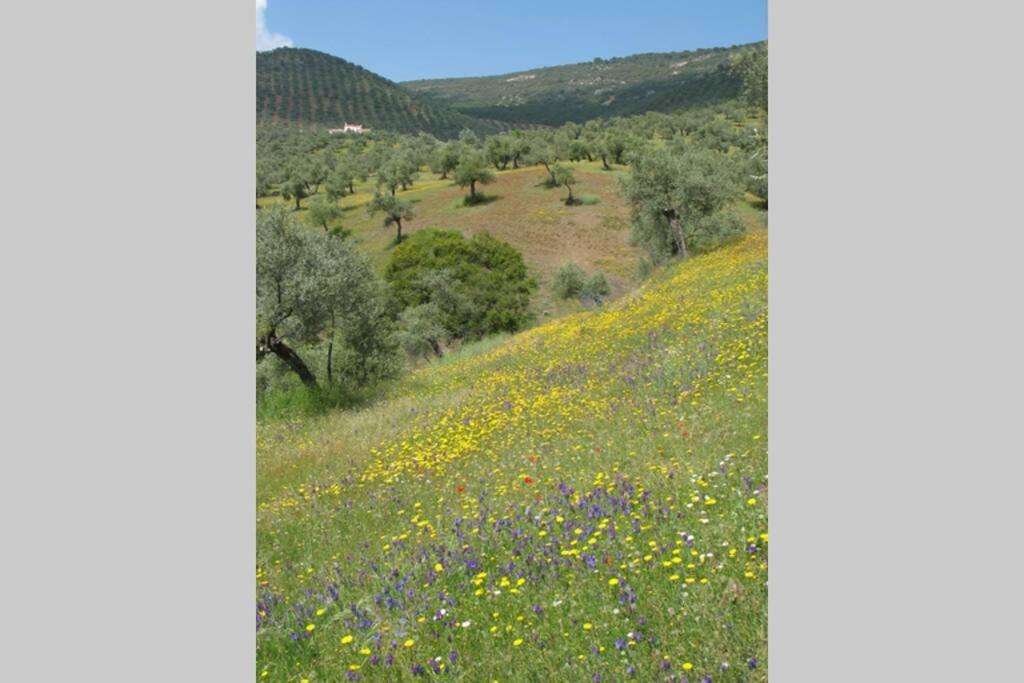 Cortijo "Era Grande 2" Villa กอร์โดบา ภายนอก รูปภาพ