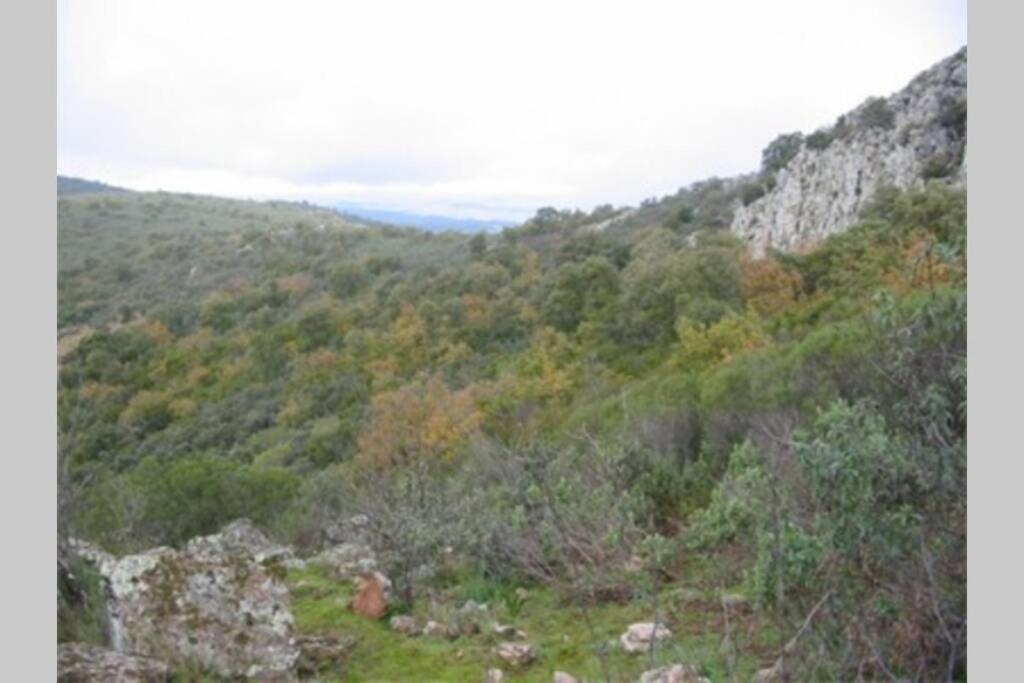 Cortijo "Era Grande 2" Villa กอร์โดบา ภายนอก รูปภาพ