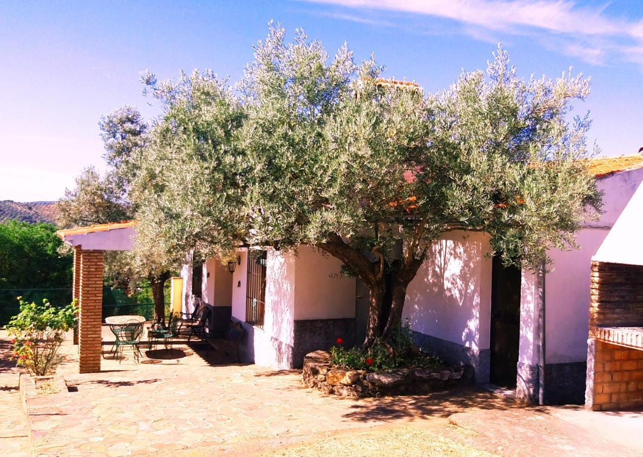 Cortijo "Era Grande 2" Villa กอร์โดบา ภายนอก รูปภาพ