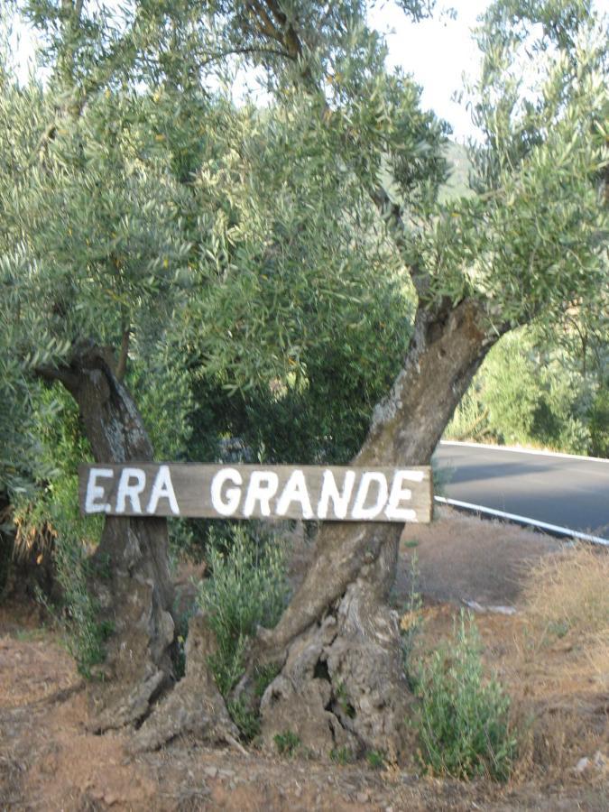 Cortijo "Era Grande 2" Villa กอร์โดบา ภายนอก รูปภาพ