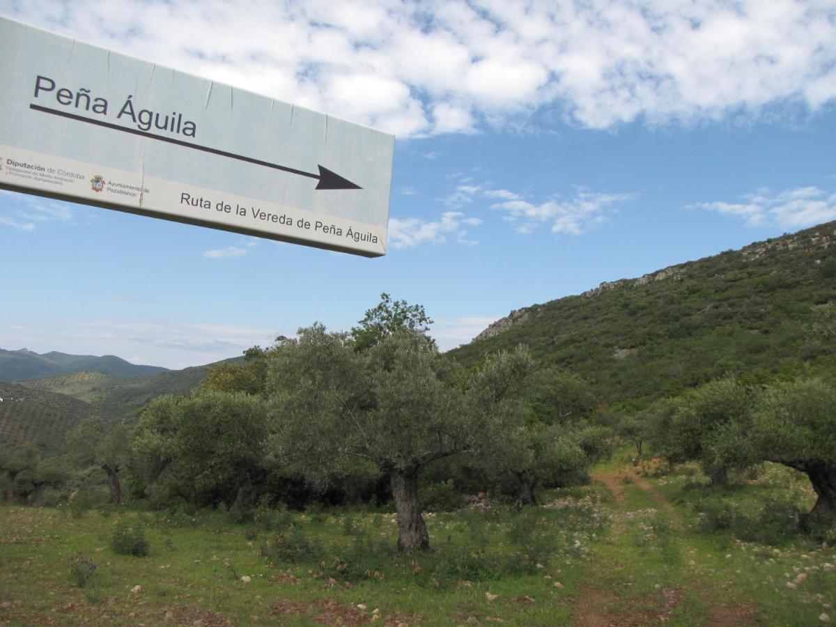 Cortijo "Era Grande 2" Villa กอร์โดบา ภายนอก รูปภาพ