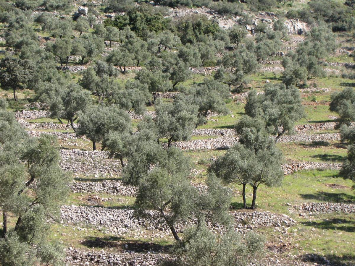 Cortijo "Era Grande 2" Villa กอร์โดบา ภายนอก รูปภาพ