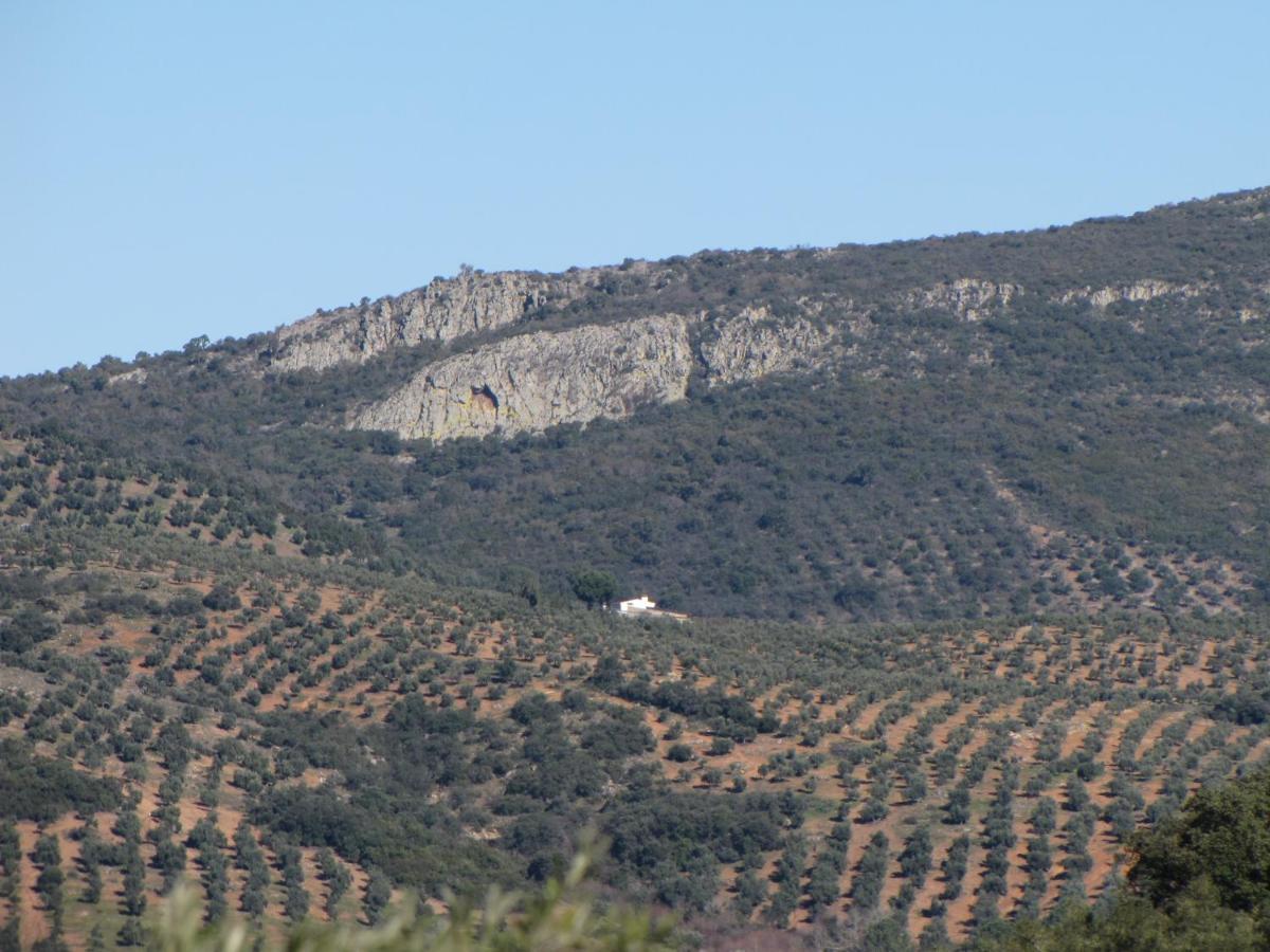 Cortijo "Era Grande 2" Villa กอร์โดบา ภายนอก รูปภาพ