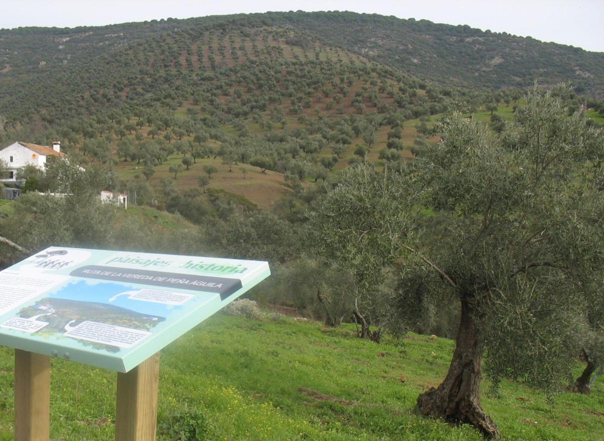 Cortijo "Era Grande 2" Villa กอร์โดบา ภายนอก รูปภาพ