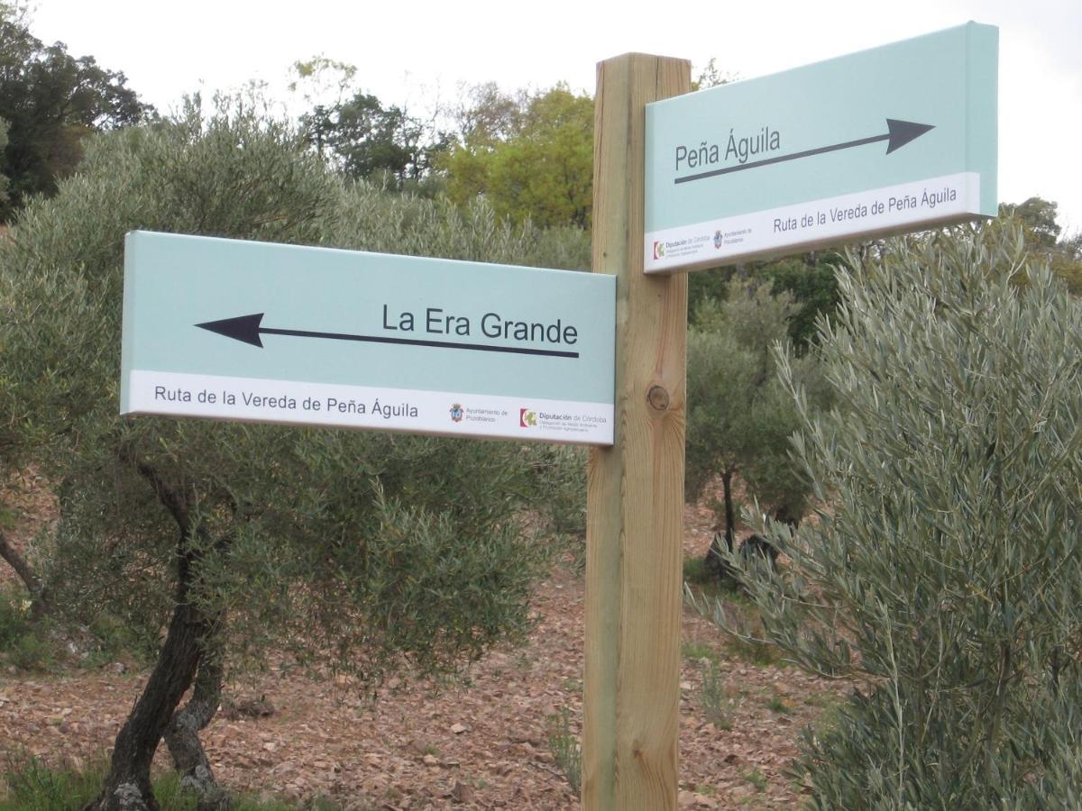 Cortijo "Era Grande 2" Villa กอร์โดบา ภายนอก รูปภาพ